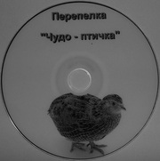 CD-DVD диски для садоводов и огородников