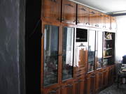 Гостиная стенка Стенка Житомирская