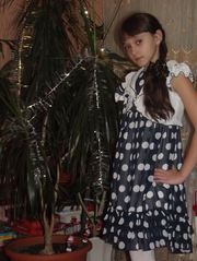 комнатное растение Драцена