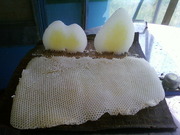 трутневое молочко, настойка восковой моли, маточное молочко, перга