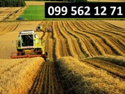 Услуги по уборке сои кукурузы зерновых рапса буряка Житомир.