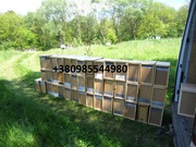 Бджолопакети , Пчелопакеты на 2019 год с доставкой