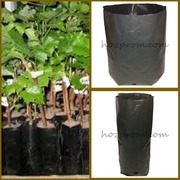 Пакети розсадні різних об’ємів 